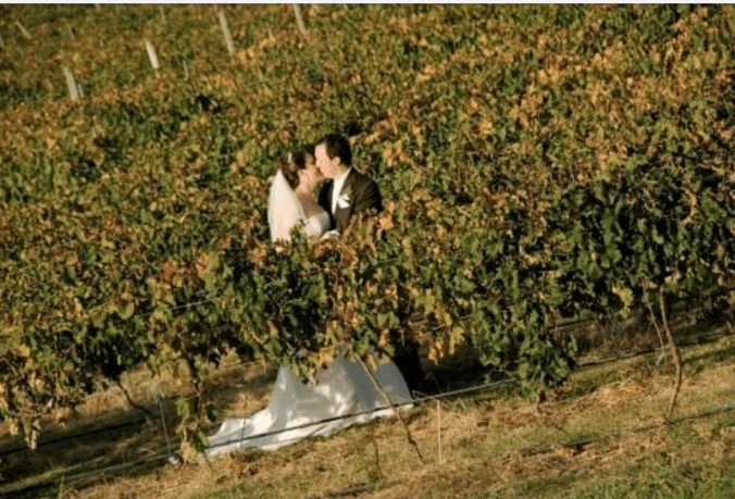 2016-04-12 12.42.22.png image