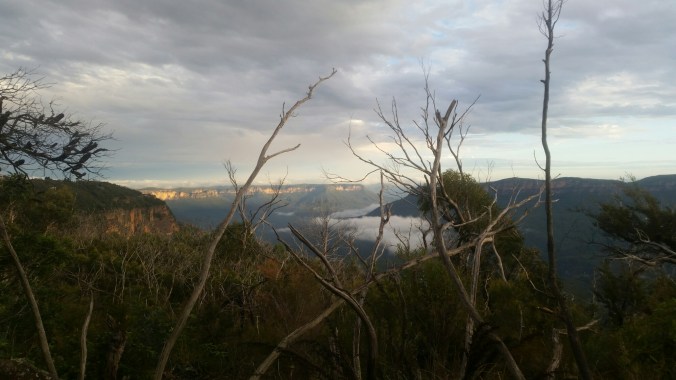 20160408_171503.jpg image