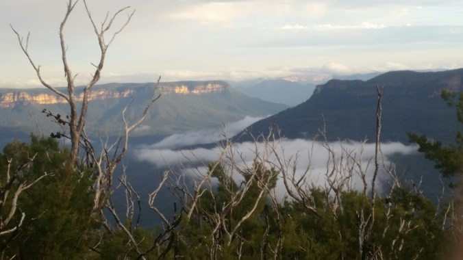 20160408_171625.jpg image