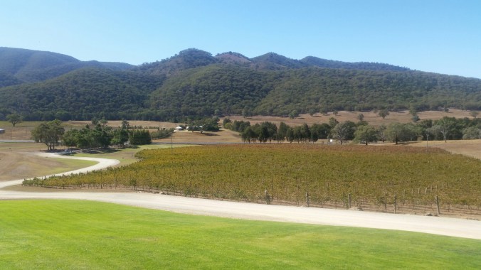 20160425_122954.jpg image