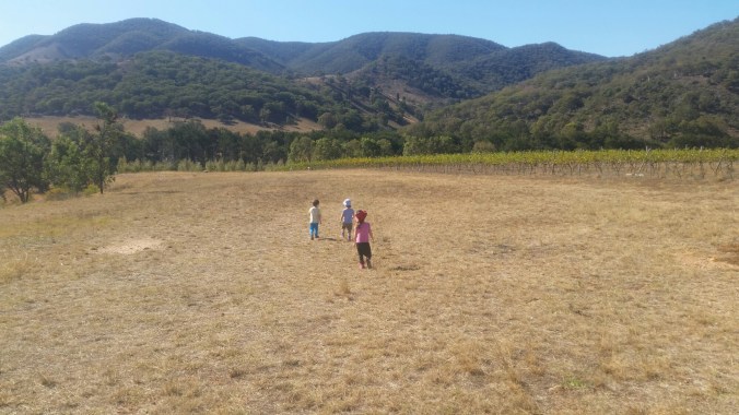 20160425_132931.jpg image