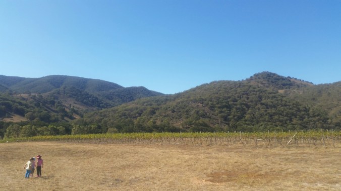 20160425_132943.jpg image