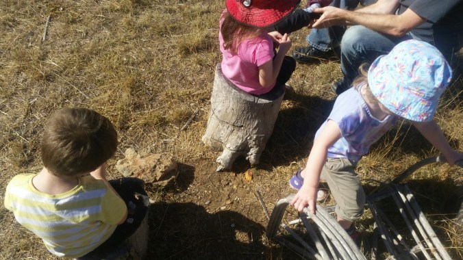 20160425_133559.jpg image