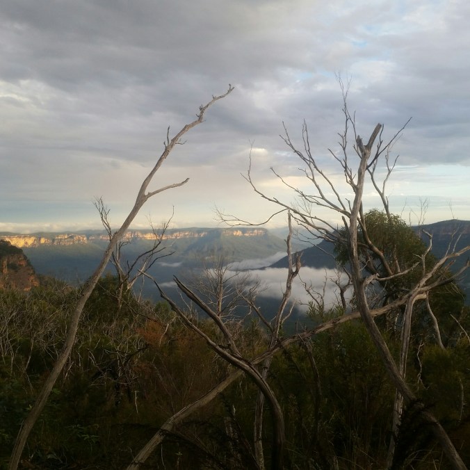 IMG_20160408_173616.jpg image